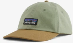 Pet Patagonia Unisex P6 Label Trad Cap Salvia Green