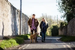 Snowboot Muck Boot Women Arctic Sport II Mid Black Grey -Schoenen Winkel AS2M 101SportIIMidhond