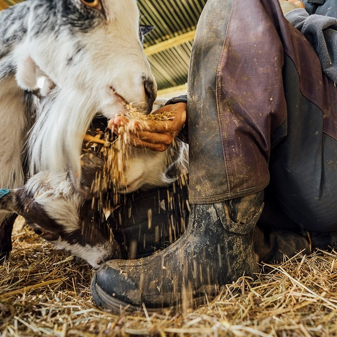 Snowboot Muck Boot Women Arctic Sport II Tall Black Black 9 Snowboot Muck Boot Women Arctic Sport II Tall Black Black - Afbeelding 7